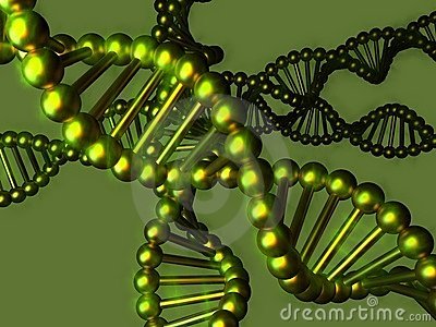 DNA_molecule
